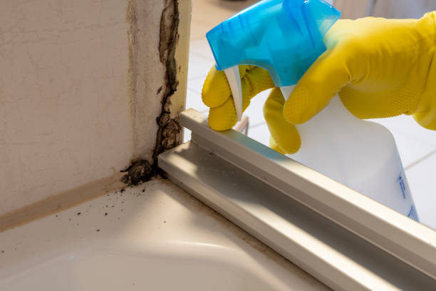 Best Industrial Mold Remediation  in Perryopolis, PA