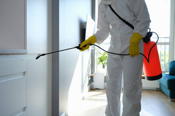 Best Biohazard Mold Removal  in Perryopolis, PA